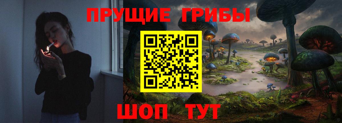 Галлюциногенные грибы прущие грибы Балашиха